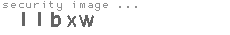 security image