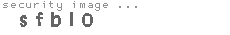 security image