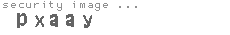 security image