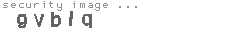 security image