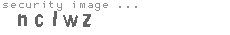 security image