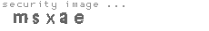 security image