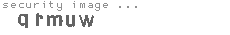 security image