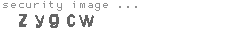 security image