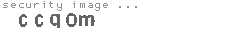 security image