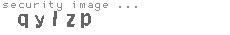 security image