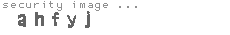 security image