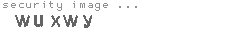 security image
