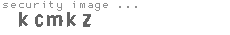 security image