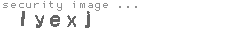 security image