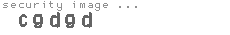 security image