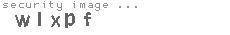 security image