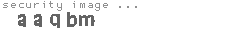 security image