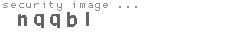 security image