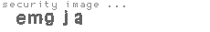 security image