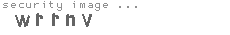 security image