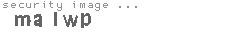 security image