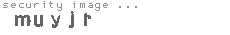 security image