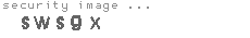 security image