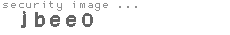 security image