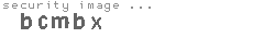 security image