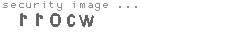 security image