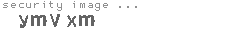 security image