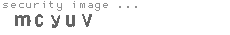 security image