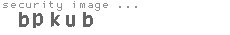 security image
