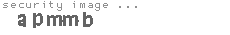 security image