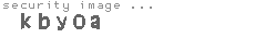 security image