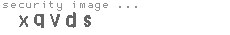 security image