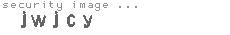 security image