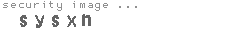 security image