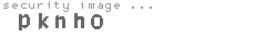 security image