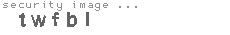 security image
