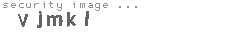 security image