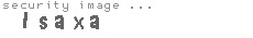 security image