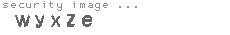 security image