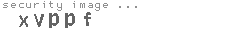 security image