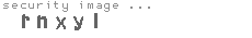 security image