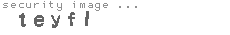 security image