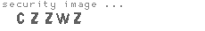 security image