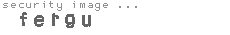 security image