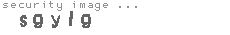 security image