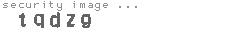 security image