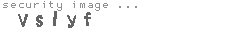 security image