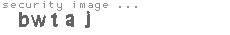 security image