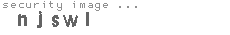 security image