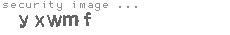 security image